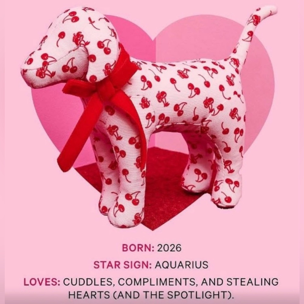 PINK VICTORIA'S SECRET Galentines Day 2026 Mini Dog Pink Red Cherries🍒 - Picture 2 of 5